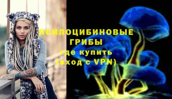 прущие крисы Алексеевка