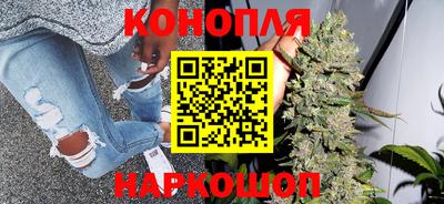 Альфа ПВП Дубна