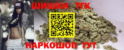 Альфа ПВП Дубна