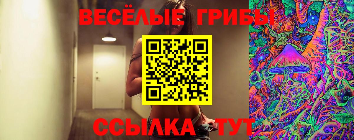 Галлюциногенные грибы Magic Shrooms Майкоп